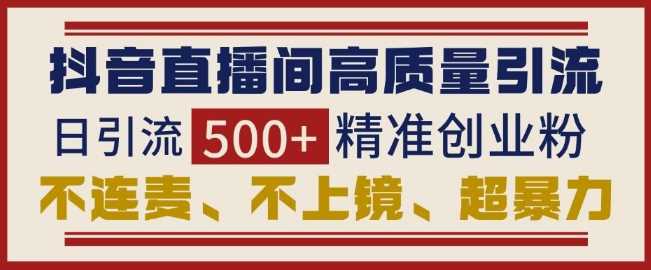 抖音直播间引流创业粉，无需连麦、不用上镜、超暴力，日引流500+高质量精准创业粉-金创谷