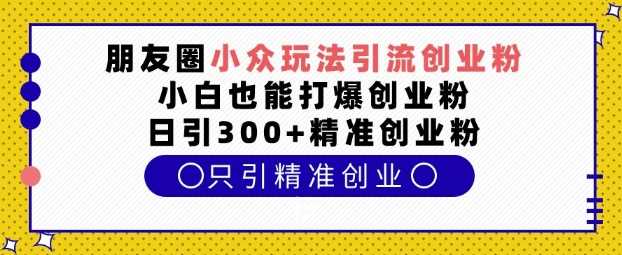 朋友圈小众玩法引流创业粉，小白也能打爆创业粉，日引300+精准创业粉【揭秘】-金创谷