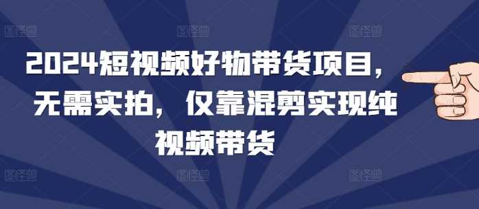 2024短视频好物带货项目，无需实拍，仅靠混剪实现纯视频带货-金创谷