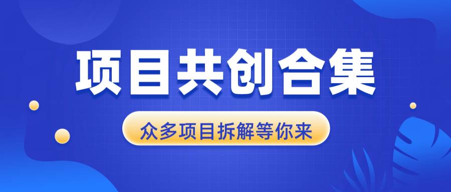 项目共创合集，从0-1全过程拆解，让你迅速找到适合自已的项目-金创谷