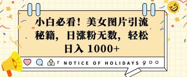 小白必看，美女图片引流秘籍，日涨粉无数，轻松日入几张【揭秘】-金创谷