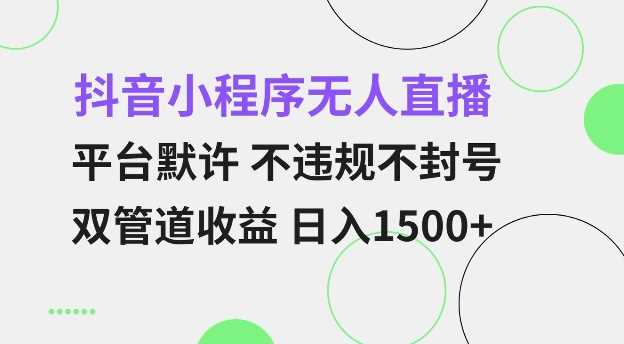 抖音小程序无人直播 平台默许 不违规不封号 双管道收益 日入多张 小白也能轻松操作【仅揭秘】-金创谷