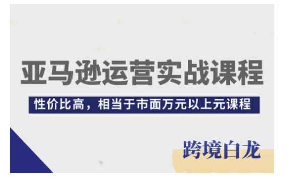 亚马逊运营实战课程，亚马逊从入门到精通，性价比高，相当于市面万元以上元课程-金创谷