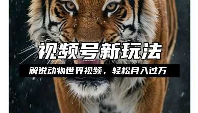 利用动物世界解说视频，赚分成计划收益，轻松月入过W，操作简单【揭秘】-金创谷