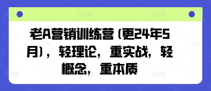 老A营销训练营(更24年12月)，轻理论，重实战，轻概念，重本质-金创谷