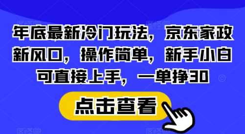 年底最新冷门玩法，京东家政新风口，操作简单，新手小白可直接上手，一单挣30【揭秘】-金创谷
