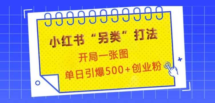 小红书“另类”打法，开局一张图，单日引爆500+精准创业粉【揭秘】-金创谷
