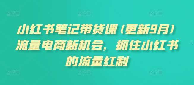 小红书笔记带货课(更新12月)流量电商新机会，抓住小红书的流量红利-金创谷