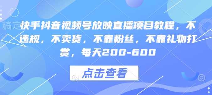 快手抖音视频号放映直播项目教程，不违规，不卖货，不靠粉丝，不靠礼物打赏，每天200-600-金创谷