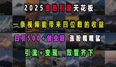 2025自热引流天花板，一条视频能带来四位数的收益，引流+变现双管齐下，日引500+创业粉，涨粉嘎嘎猛-金创谷