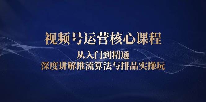 视频号运营核心课程，从入门到精通，深度讲解推流算法与排品实操玩-金创谷