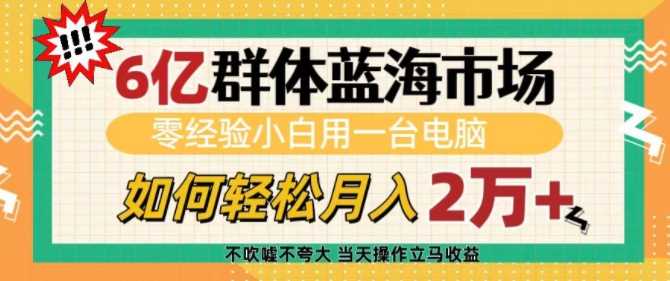 6亿群体蓝海市场，零经验小白用一台电脑，如何轻松月入过w【揭秘】-金创谷