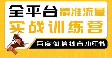 全平台精准流量实战训练营，百度微信抖音小红书SEO引流教程-金创谷