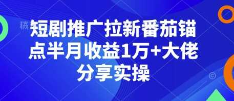 短剧推广拉新番茄锚点半月收益1万+大佬分享实操-金创谷
