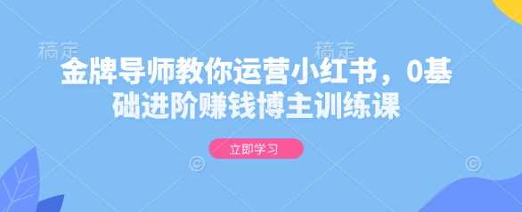金牌导师教你运营小红书，0基础进阶赚钱博主训练课-金创谷