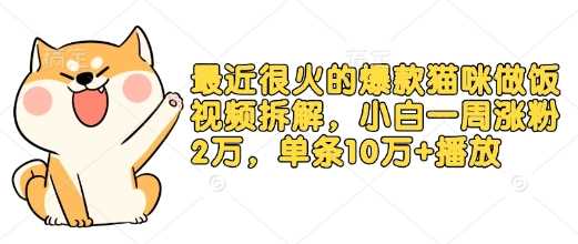 最近很火的爆款猫咪做饭视频拆解，小白一周涨粉2万，单条10万+播放(附保姆级教程)-金创谷
