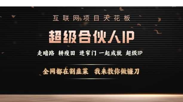 互联网项目天花板，超级合伙人IP，全网都在割韭菜，我来教你做镰刀【仅揭秘】-金创谷