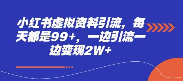 小红书虚拟资料引流，每天都是99+，一边引流一边变现2W+-金创谷
