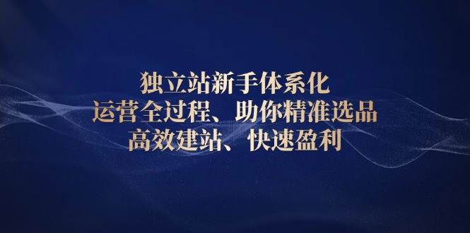 独立站新手体系化 运营全过程，助你精准选品、高效建站、快速盈利-金创谷