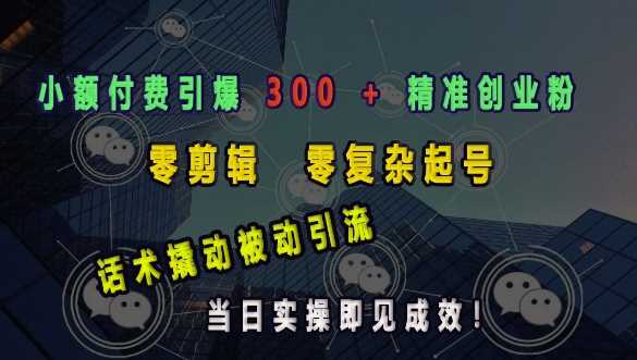 小额付费引爆 300 + 精准创业粉，零剪辑、零复杂起号，话术撬动被动引流，当日实操即见成效-金创谷