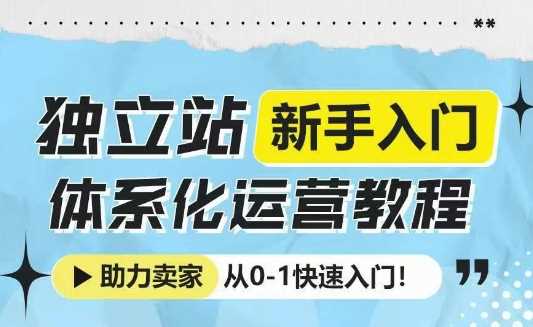 独立站新手入门体系化运营教程，助力独立站卖家从0-1快速入门!-金创谷