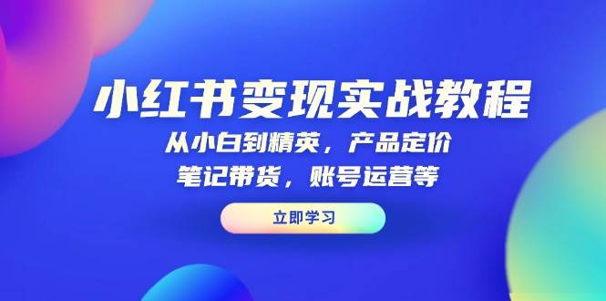 小红书变现实战教程：从小白到精英，产品定价，笔记带货，账号运营等-金创谷