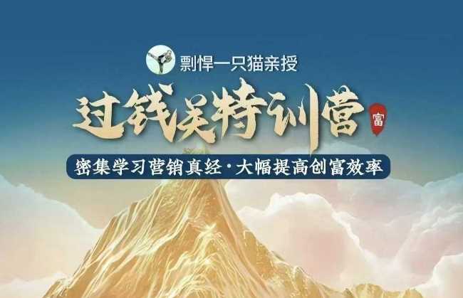 剽悍一只猫-过钱关特训营，学习营销真经 大幅度提高创富效率-金创谷