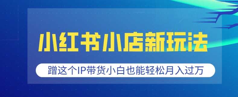 小红书小店新玩法，蹭这个IP带货，小白也能轻松月入过W【揭秘】-金创谷