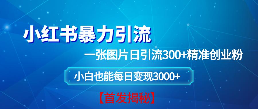 小红书暴力引流法，一张图片日引 300+精准创业粉，每日稳定变现 3000+【揭秘】-金创谷