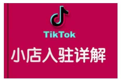 TikTok跨境小店运营全攻略，帮助你独立运营TK跨境小店的能力，实现销量增长-金创谷