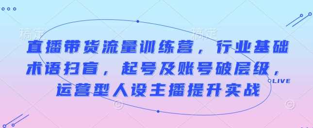 直播带货流量训练营，行业基础术语扫盲，起号及账号破层级，运营型人设主播提升实战-金创谷