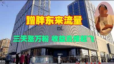 蹭胖东来流量，三天涨万粉，收益直接起飞-金创谷