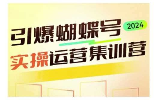 引爆蝴蝶号实操运营，助力你深度掌握蝴蝶号运营，实现高效实操，开启流量变现之路-金创谷
