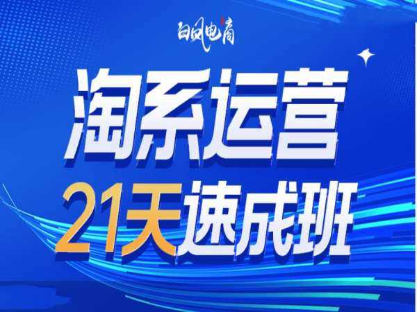 淘系运营21天速成班35期，年前最后一波和2025方向-金创谷