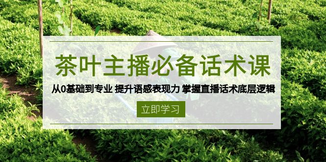 茶叶 主播必备话术课 从0基础到专业 提升语感表现力 掌握直播话术底层逻辑-金创谷