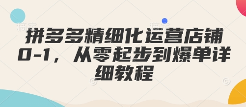 拼多多精细化运营店铺0-1，从零起步到爆单详细教程-金创谷