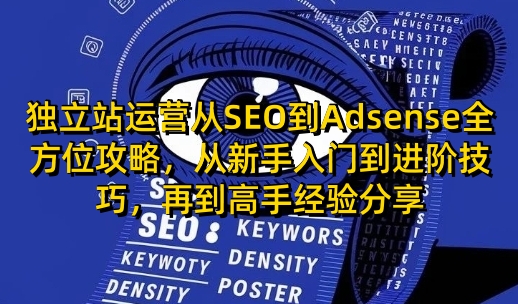 独立站运营从SEO到Adsense全方位攻略，从新手入门到进阶技巧，再到高手经验分享-金创谷