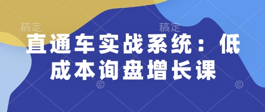 直通车实战系统：低成本询盘增长课，让个人通过技能实现升职加薪，让企业低成本获客，订单源源不断-金创谷