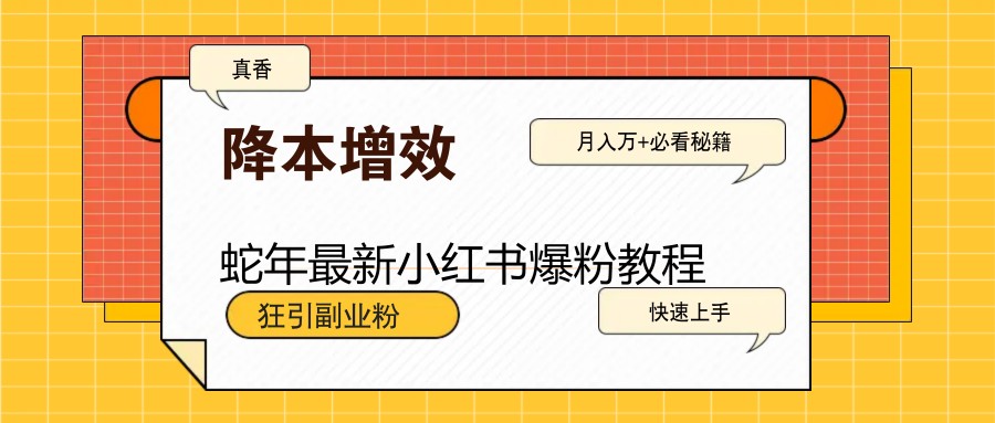 蛇年最新小红书爆粉教程，狂引副业粉，月入万+必看-金创谷