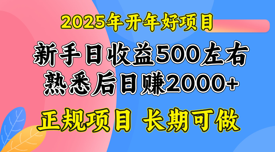 2025开年好项目，单号日收益2000左右-金创谷