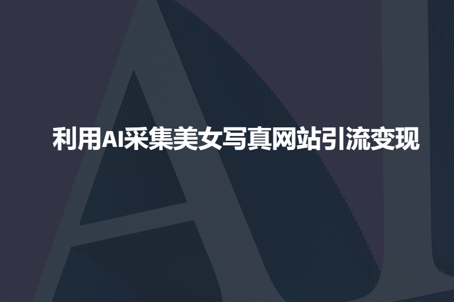 利用AI采集美女写真网站引流变现，引流嘎嘎的-金创谷