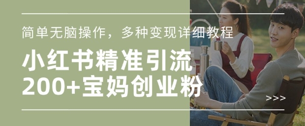 小红书混剪日引200+宝妈创业粉，简单无脑操作，多种变现详细教程-金创谷
