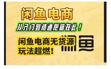 闲鱼电商实战课，从入门到精通秘籍在此，闲鱼电商无货源玩法超燃!-金创谷