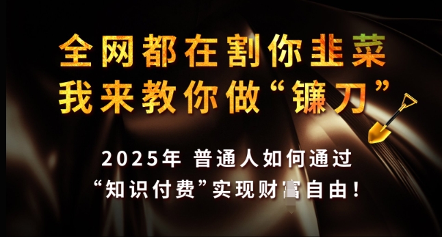 全网都在割你韭菜，我来教你做镰刀，2025年普通人如何通过 知识付费 实现财F自由【揭秘】-金创谷