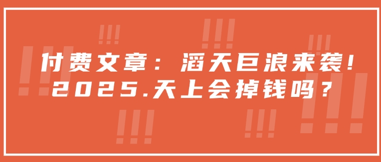 付费文章：滔天巨浪来袭！2025天上会掉钱吗？-金创谷