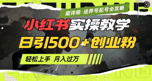 2月小红书最新日引500+创业粉实操教学【超详细】小白轻松上手，月入1W+，附小红书养号起号SOP-金创谷