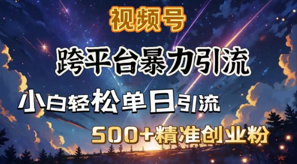 跨平台暴力引流，私域完美闭环，日引500+精准创业粉-金创谷