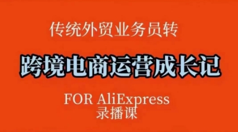 跨境电商速卖通运营课，​运营方法论+后台实操，逻辑清晰-金创谷
