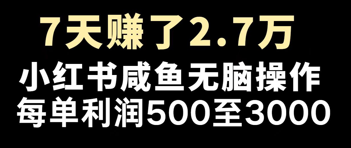 最赚钱项目之一，2025爆火，逆风翻盘！-金创谷