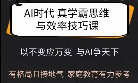 Ai时代真学霸思维与学习方法课，有格局且接地气，家庭教育有力参考-金创谷